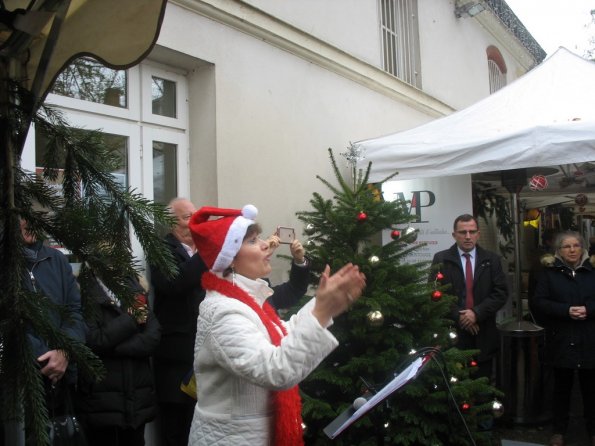 Marché Noël Bailly 2019 (9)